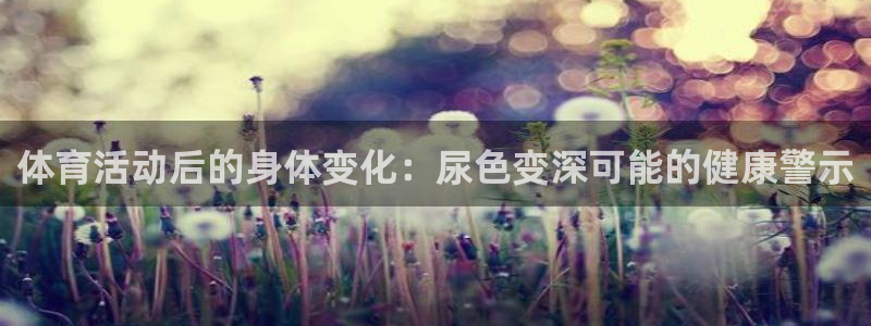 杏宇体育平台注册
