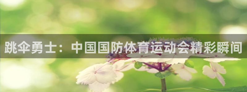 杏宇2平台