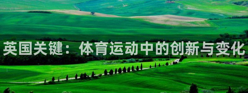 杏宇零能源集团