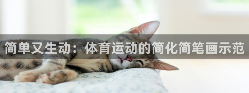 杏宇体育注册代理