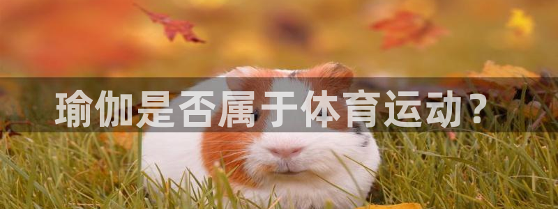 意昂5
