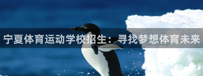杏宇体育网页版入口