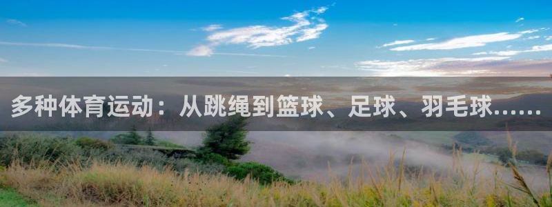 杏宇平台注册