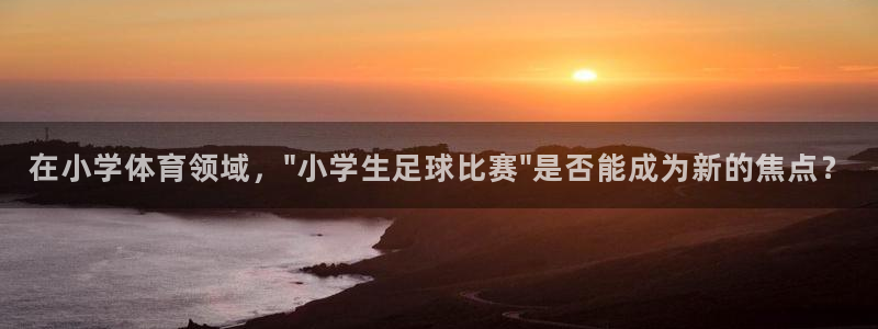 意昂总代