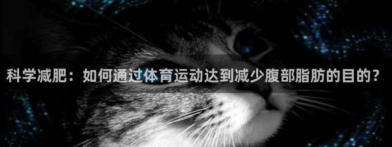 杏宇招商