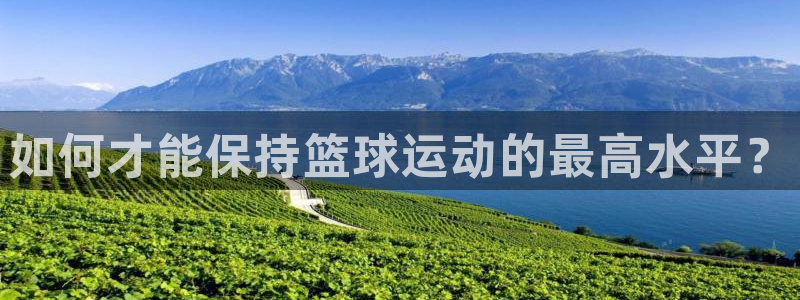 杏宇体育官网入口登录