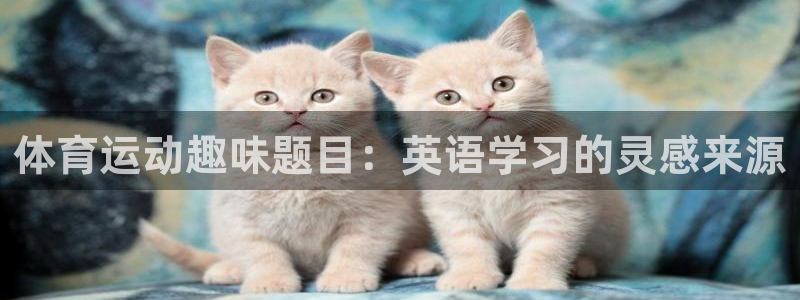 杏宇平台开户链接