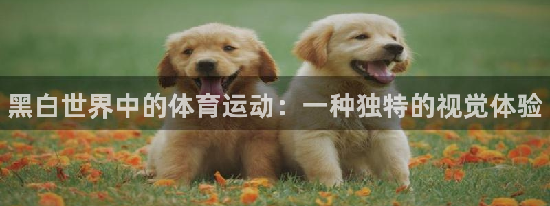 杏宇2体育登录入口