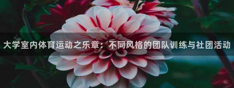 杏宇体育在线注册