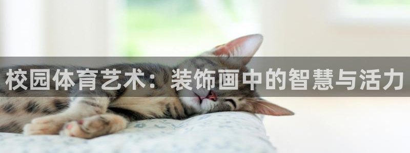 杏宇平台开户链接