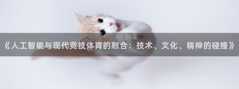 杏宇体育和杏耀是哪个公司的