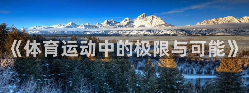 意昂的动画