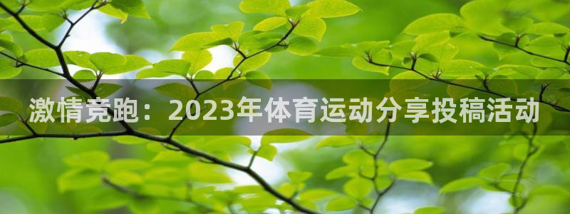 杏宇包怎么样