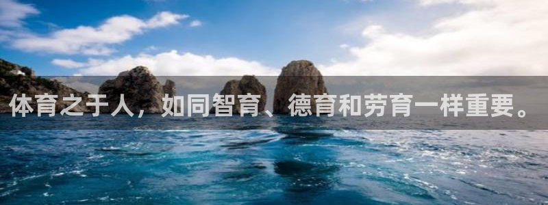 杏宇登录注册