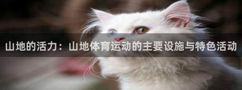 意昂体育官网登录