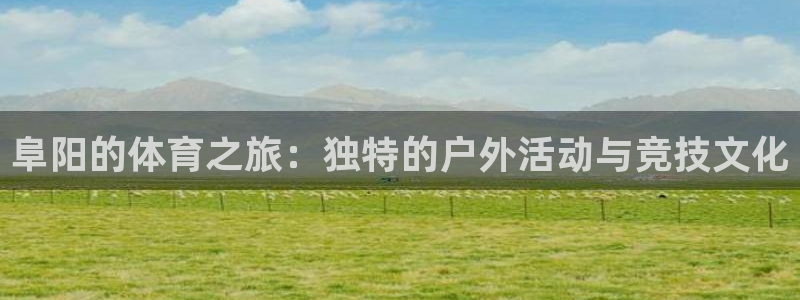 意昂平台招商