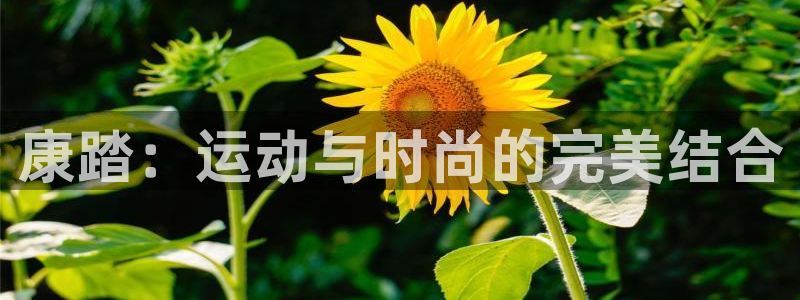 意昂平台登陆