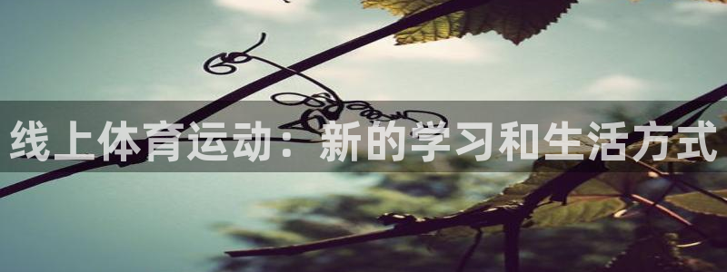杏宇2平台登录