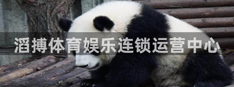 杏宇3官网登录