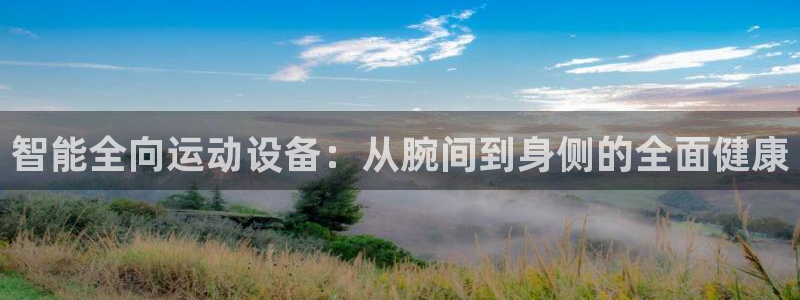 杏宇体育