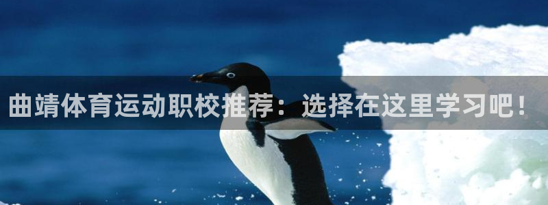 杏宇体育游戏