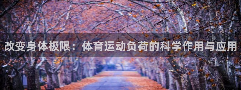 杏宇凯捷平台注册链接