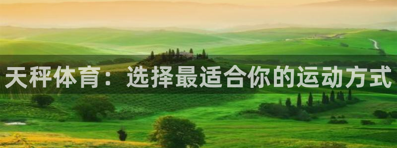 德国意昂集团