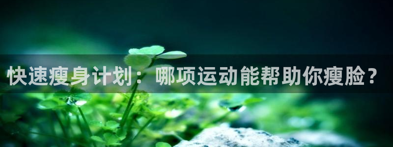 杏宇体育注册代理