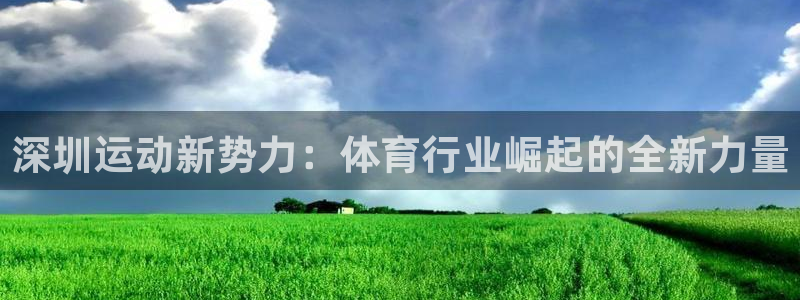 福建杏宇机电股份公司
