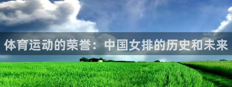上海杏宇汽车电子有限公司